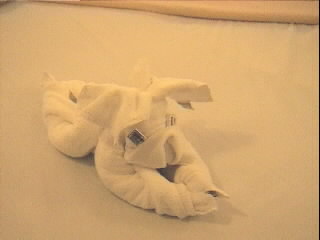 Towel orgami