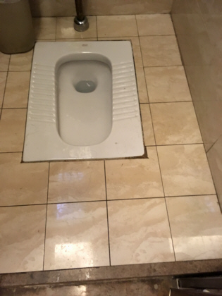 squat toilet