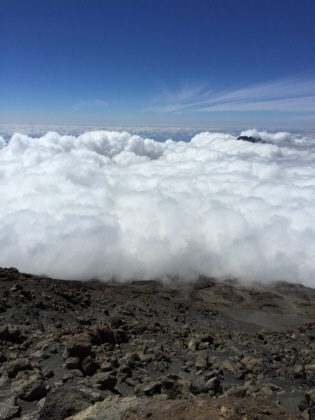 view from Mt. Kilimanjaro