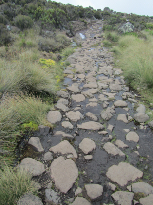 acclimatization hike