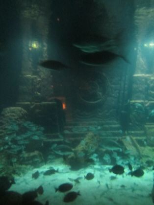 Discover Atlantis Tour