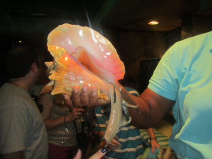 Discover Atlantis Tour