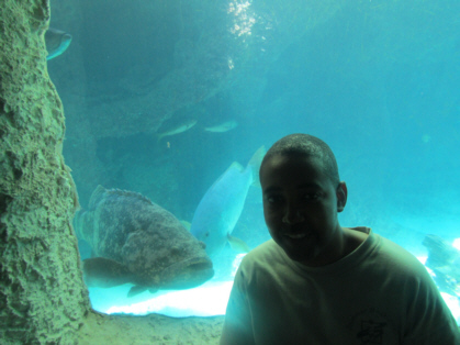 Discover Atlantis Tour