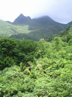 view from Yokahu Tower