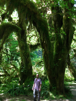 Hoh Rainforest