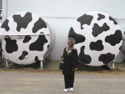milk tanks
